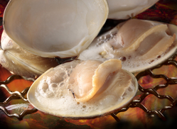 はまぐり屋のオススメ