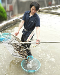 はまぐり屋のオススメ